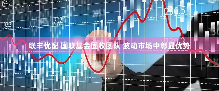 联丰优配 国联基金固收团队 波动市场中彰显优势