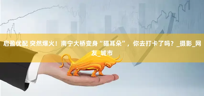 启盈优配 突然爆火！南宁大桥变身“猫耳朵”，你去打卡了吗？_摄影_网友_城市