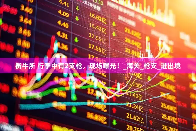 衡牛所 行李中有2支枪，现场曝光！_海关_枪支_进出境