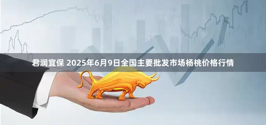 君润宜保 2025年6月9日全国主要批发市场杨桃价格行情